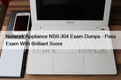 Network Appliance NS0-304 Exam Dumps - Pass Exam With Brilliant Score